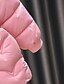 abordables Chaquetas y Abrigos para Niña-Bebé Chica Plumón Abrigo Manga Larga Rosa Rojo Negro Plano Nudo de corbata Otoño Invierno Activo Calle 2-6 años / Algodón