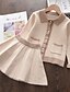 cheap Girls&#039; Clothing Sets-Kids Girls&#039; Clothing Set Long Sleeve 2 Pieces Pink Red Beige Pleated Solid Color Regular Cute Sweet 3-8 Years / Fall / Winter / Spring
