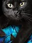 billige T-skjorter og bluser til jenter-barn katt blomst 3d print t-skjorte langermet blå svart dyreprint skole daglig slitasje aktiv 4-12 år / høst