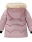 cheap Girls&#039; Jackets &amp; Coats-Girls&#039; 3D Animal Coat Down Coat Long Sleeve Fall Winter Active Adorable Polyester Toddler 2-6 Years Street Vacation Regular Fit