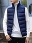 cheap Men&#039;s-Men&#039;s Vest Gilet Fall Winter Street Daily Going out Regular Coat Stand Collar Zipper Warm Breathable Regular Fit Sporty Casual Streetwear Jacket Sleeveless Full Zip Pocket Solid Color Blue Gray Black