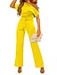 abordables Jumpsuits &amp; Rompers-Mujer Mono Color sólido Sofisticado Manga Corta Ajuste regular Vino Ejercito verde Azul Piscina S M L Primavera