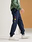 abordables Pantalons pour Garçons-Pantalons Garçon Enfants basique Bleu Gris Couleur Pleine / Coton
