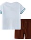 cheap Boys&#039; Clothing Sets-Kids Boys&#039; Clothing Set Short Sleeve 2 Pieces Brown Print Dinosaur Animal Indoor Outdoor Cotton Regular Basic Daily 2-8 Years / Fall / Spring