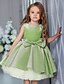cheap Girls&#039; Dresses-Kids Little Girls&#039; Dress Solid Colored Party Birthday A Line Dress Ruched Mesh Bow Purple Pink Light Green Knee-length Sleeveless Princess Cute Dresses Fall Winter Regular Fit 3-10 Years
