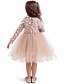 cheap Girls&#039; Dresses-Kids Little Dress Girls&#039; Flower Performance Pegeant Tulle Dress Patchwork Pink Above Knee Long Sleeve Cute Elegant Princess Dresses Spring Summer Slim 2-8 Years / Fall