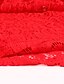 abordables Jumpsuits &amp; Rompers-Combishort Femme Couleur unie Dentelle Vêtement de rue Col Ras du Cou Soirée Cocktail Saint Valentin Manches Longues Standard Vert S Eté