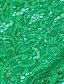 abordables Jumpsuits &amp; Rompers-Mujer Mono Color sólido Encaje Ropa de calle Cuello Barco Fiesta de Cóctel San Valentín Manga Larga Ajuste regular Verde Trébol Azul Piscina Blanco S M L Verano