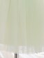 billige Pigekjoler-Børn Lille Pige Kjole Blomstret Ensfarvet Fest Dåbskjole A Linje Kjole Krøllede Folder Net Lysegrøn Midi Bomuld Uden ærmer Sød Stil Sød Kjoler Efterår Sommer Regulær 2-8 år
