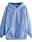 abordables Sweats à capuche et sweat-shirts-sweat à capuche décontracté à manches longues pour femmes avec poche bleu s