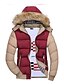 abordables All Sale-Abrigos de invierno para hombre, abrigos de piel con capucha, acolchado grueso, acolchado, chaqueta cálida