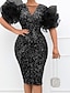cheap Plus Size Dresses-Women&#039;s Plus Size Curve Party Dress Black Sequin Dress Color Gradient Crew Neck Sequins Sleeveless Spring Fall Formal Sequins Prom Dress Knee Length Dress