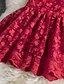 cheap Girls&#039; Dresses-Kids Girls&#039; Dress Plain Sleeveless Wedding Party Birthday Embroidered Elegant Cute Sweet Cotton A Line Dress Summer Spring 3-10 Years Red
