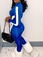 preiswerte Damen Jumpsuits-Damen Katzenanzug Gestreift Reißverschluss Aktiv Ständer Sport Täglich Kurzarm Regular Fit Blau Schwarz Rote S M L Frühling