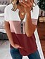 preiswerte T-shirts-Damen T-Shirt Reißverschluss Grundlegend Grundlegend Mehrfarbig Sommer Regulär Weißrosa blau aprikosenrot weiß grau schwarz schwarz grau blau grün weiß grau