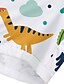 billige Badetøj til drenge-Børn Drenge One Piece Strandshorts badedragt Trykt mønster Badetøj Dinosaurus Hvid Aktiv Svømning Badedragter 3-10 år / Sommer