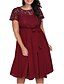 cheap Plus Size Dresses-Women&#039;s Plus Size Solid Color A Line Dress Lace Round Neck Short Sleeve Casual Prom Dress Spring Summer Causal Daily Short Mini Dress Dress / Party Dress