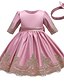 cheap Girls&#039; Dresses-Toddler Little Dress Girls&#039; Jacquard Solid Colored Flower Party Birthday Tulle Dress Embroidered Lace Trims Bow Green Wine Above Knee Cotton 3/4 Length Sleeve Vintage Sweet Dresses Spring Summer