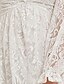 abordables Vestidos de Talla Grande de mujer-Mujer Talla Grande Color sólido Vestido de una línea Encaje Hombros Caídos Manga Larga Formal Sensual Trajes de gala Primavera Verano Fiesta Vacaciones Vestido largo maxi Vestido / Vestido de Fiesta