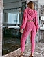 cheap Two Piece Sets-Women&#039;s Streetwear Plain Casual Daily Wear Two Piece Set Hooded Pant Crop Top Hoodie Pants Sets Zipper Tops