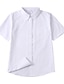 preiswerte Jungen T-Shirts &amp; Hemden-Jungen 3D Feste Farbe Hemd Kurzarm Sommer Frühling Aktiv Täglich Baumwolle kinderkleidung 2-12 Jahre Täglich Regular Fit