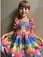 cheap Girls&#039; Dresses-Kids Little Girls&#039; Dress Rainbow Floral Patchwork Party Casual Holiday Pleated Print Rainbow Knee-length Sleeveless Active Sweet Dresses Children&#039;s Day Summer Regular Fit 2-12 Years