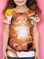 baratos camisetas 3d para meninas-Para Meninas 3D Animal Gato Camisa Camiseta Manga Curta Impressão 3D Verão Ativo Poliéster Infantil 4-12 anos Escola Roupa Diária Normal