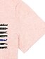 abordables Tops más vendidos-Mujer Casual Fin de semana Día de la Independencia Camiseta Pintura Manga Corta EEUU Bandera Escote Redondo Estampado Básico Tops Gris Rosa S