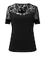 cheap Tops &amp; Blouses-Women&#039;s T shirt Tee Plain Casual Weekend Short Sleeve T shirt Tee V Neck Lace Patchwork Basic Essential Black Blue Red S