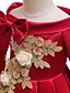 abordables Robes pour Filles-Enfants Fille Robe Floral Fleur Soirée Pegeant Noeud Elégant Princesse Coton Polyester Robe à broderies florales Rose Claire Rouge Vert
