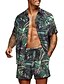 cheap Men&#039;s Socks-Men&#039;s Set T shirt Tee Graphic 3D Print Turndown Casual Daily Short Sleeve 3D Tops Beach Light Purple Red / White Green / Black / Summer