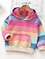 cheap Girls&#039; Hoodies &amp; Sweatshirts-Kids Girls&#039; Hoodie &amp; Sweatshirt Long Sleeve Rainbow Stripe Pocket Candy color Hoodie Red Green