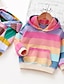 cheap Girls&#039; Hoodies &amp; Sweatshirts-Kids Girls&#039; Hoodie &amp; Sweatshirt Long Sleeve Rainbow Stripe Pocket Candy color Hoodie Red Green