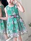 cheap Girls&#039; Dresses-Kids Little Girls&#039; Dress Red Floral Embroidered Blushing Pink Green Above Knee Sleeveless Cute Dresses Children&#039;s Day Slim