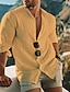 billige Linen Shirts-Herre Skjorte linned skjorte Sommer skjorte Strandtrøje Sort Hvid Gul Langærmet Helfarve Krave Forår Efterår udendørs Gade Tøj