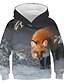 cheap Boys&#039; Hoodies &amp; Sweatshirts-Boys&#039; 3D Fox Print Long Sleeve Hoodie