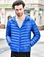 cheap Running &amp; Jogging Clothing-Men&#039;s Casual Athleisure Winter Quilted Full Zip Short Cotton Polyester Thermal Warm Waterproof Windproof Lightweight Solid Colored Hooded Black Army Green Burgundy Navy Blue Vest