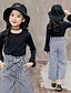 preiswerte Kleidersets für Mädchen-Mädchen Shirt &amp; Hose Kleidungsset Schachbrett Langarm Kunstseide Aktiv kinderkleidung Outdoor Innen 4-12 Jahre Schleife 3D-gedruckte Grafik