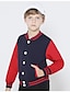 preiswerte Jacken &amp; Mäntel für Jungen-Jungen 3D Mantel Gestreift Langarm Herbst Polyester Aktiv Vintage kinderkleidung Schulanfang Täglich