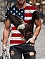 cheap Short Sleeve-Men&#039;s Distressed American Flag 3D Printed Tee
