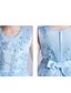 preiswerte Kleider für Mädchen-Kinder Wenig Kleid Mädchen Blume Pailletten Blau Rosa Gold Knielang Ärmellos Prinzessin Süß Kleider Sommer Kindertag Regular Fit 3-12 Jahre