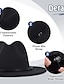 abordables Accesorios para Hombre-Hombre Sombrero de fieltro Sombrero de ala Negro Rosa Clásico Básico Años 30 Casual Festivos Color sólido