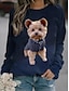 cheap Hoodies &amp; Sweatshirts-Plus Size Women&#039;s Round Neck Sweatshirt Pullover
