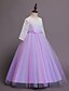 cheap Girls&#039; Dresses-Kids Little Girls&#039; Dress colour Party Birthday Tulle Dress Lace Purple Blushing Pink Maxi Lace Long Sleeve Cute Dresses Fall Spring Children&#039;s Day 4-13 Years