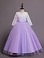 cheap Girls&#039; Dresses-Kids Little Girls&#039; Dress colour Party Birthday Tulle Dress Lace Purple Blushing Pink Maxi Lace Long Sleeve Cute Dresses Fall Spring Children&#039;s Day 4-13 Years