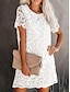 cheap Casual Dresses-Elegant Mini Lace Dress for Women Loose Fit