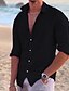 abordables Long Sleeves-Hombre Camisa camisa de lino Camisa de verano Camisa de playa Negro Blanco Rosa Manga Larga Color sólido Cuello Vuelto Primavera verano Exterior Calle Ropa Abotonar
