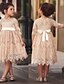 cheap Toddler Girls&#039; Dresses-Elegant Lace Tulle Princess Dress for Little Girls