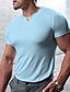abordables Short Sleeve-Hombre Camiseta Camiseta superior Escote en Pico Plano Calle Vacaciones Mangas cortas Ropa Moda Design Básico