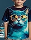billige tilpassede klær for barn-Gutt 3D T skjorte Dyr Drage Kortermet Sommer 3D-utskrift Polyester Aktiv 4-12 år Barn Normal